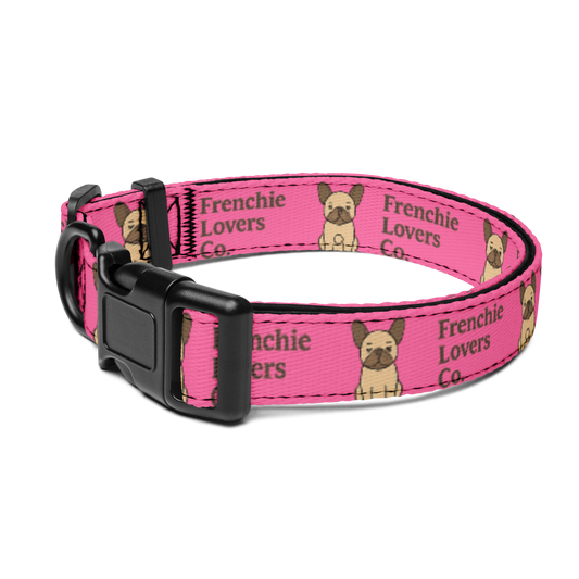Luxury Frenchie Collar